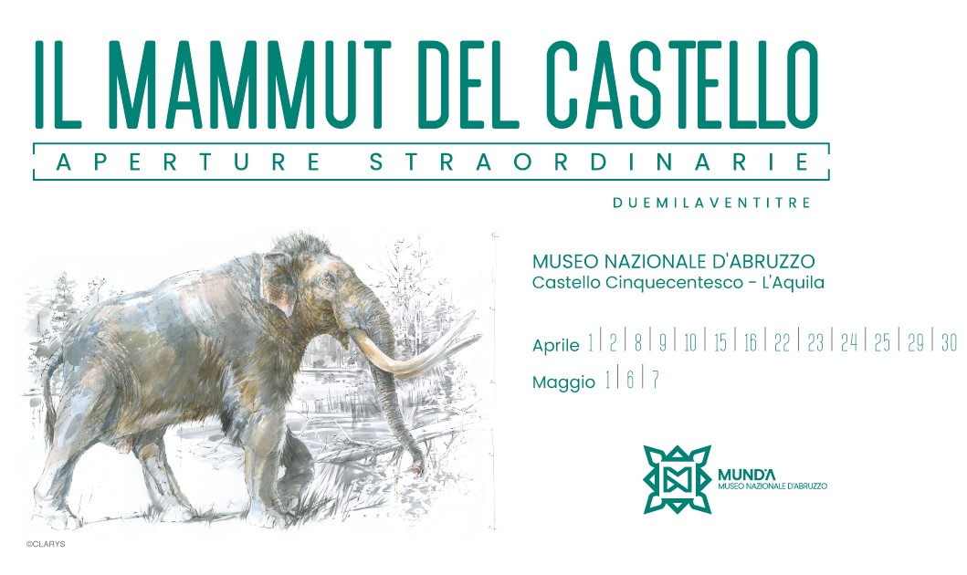 mammut 2023.jpeg